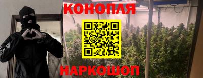 винт Будённовск