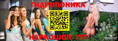 винт Будённовск