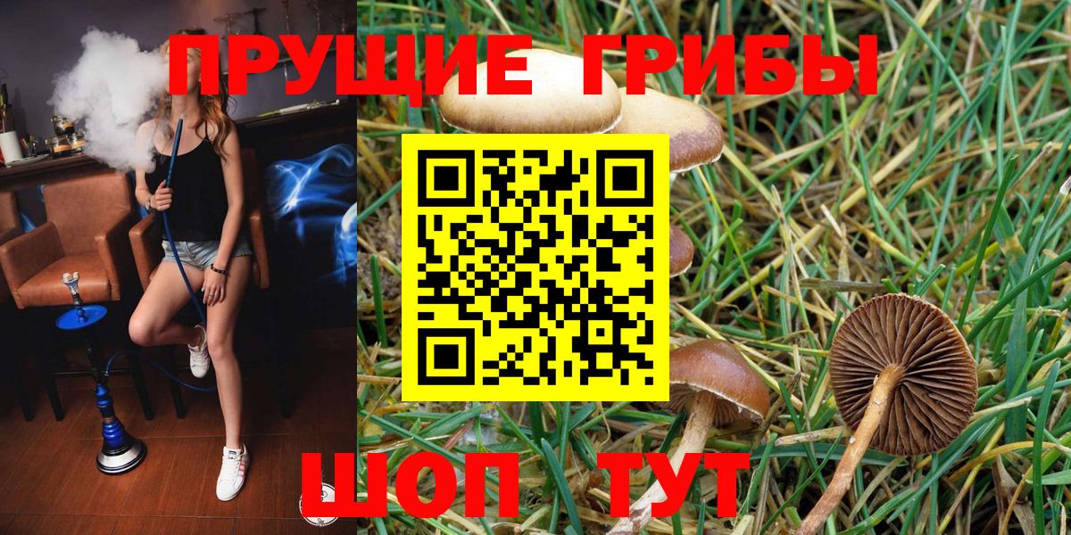 купить наркотик  Вход с VPN  Минусинск  Псилоцибиновые грибы ЛСД 