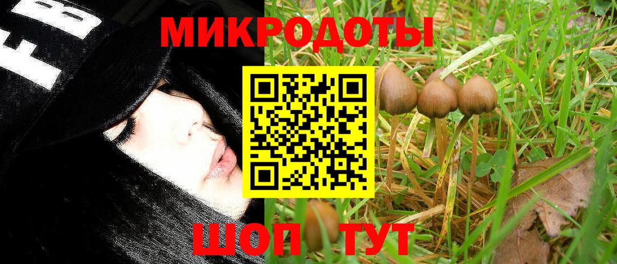 Псилоцибиновые грибы мухоморы Минусинск